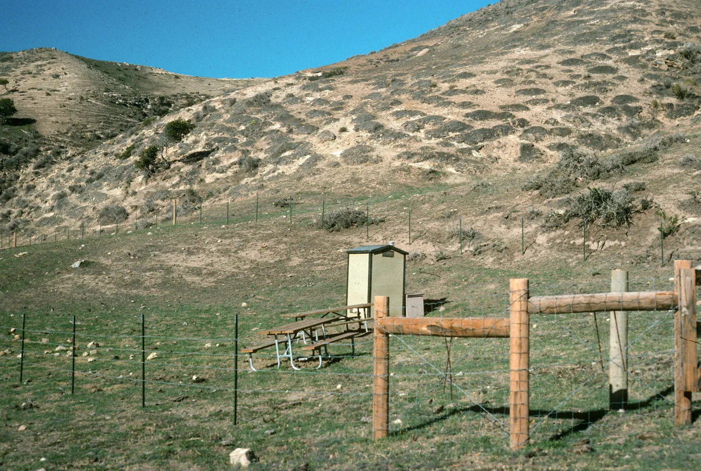 Campgound site, Lower Water Canyon, Santa Rosa Island