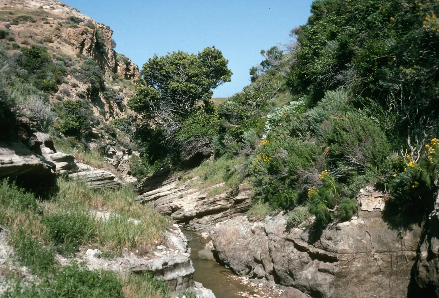 Water Canyon Santa Rosa Island