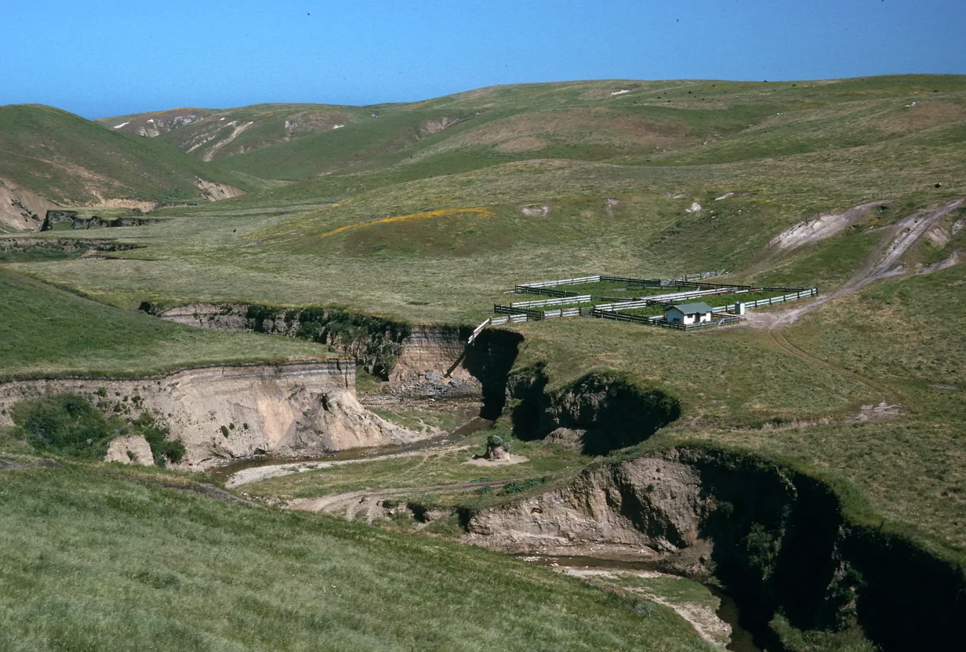 Arlington Canyon, Santa Rosa Island
