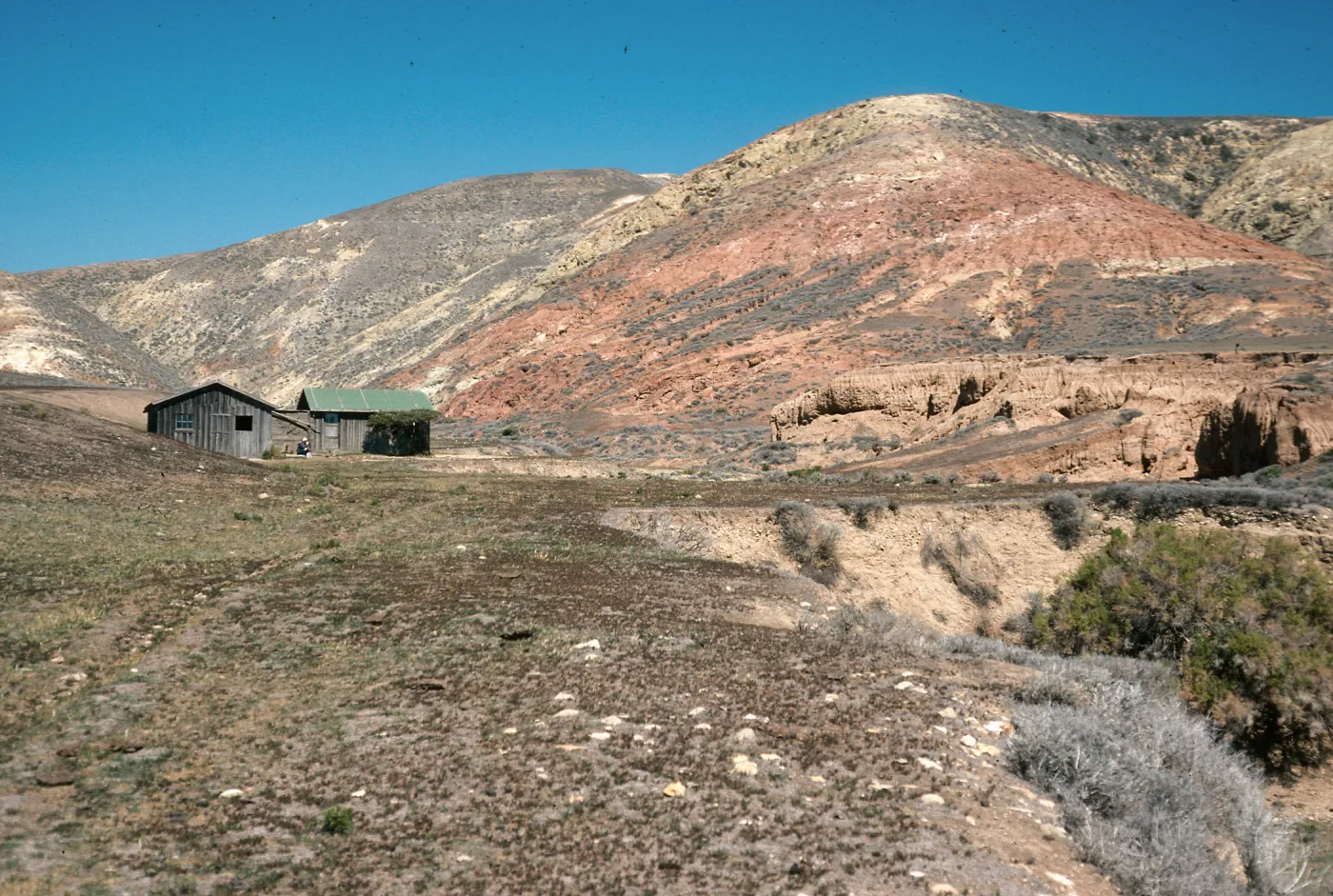 China Camp, Santa Rosa Isl.