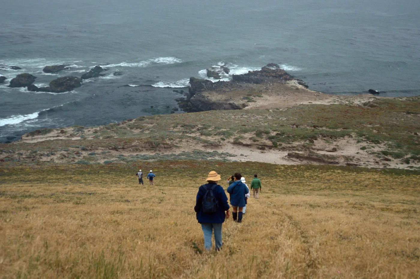 Carrington Point, Santa Rosa Island