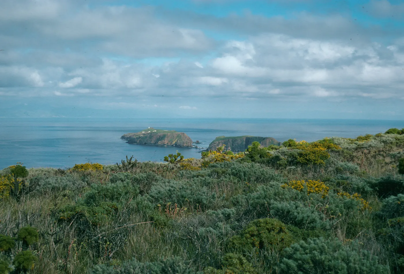 W. Anacapa Island, onshore side, east of Cherry Cyn., looking east