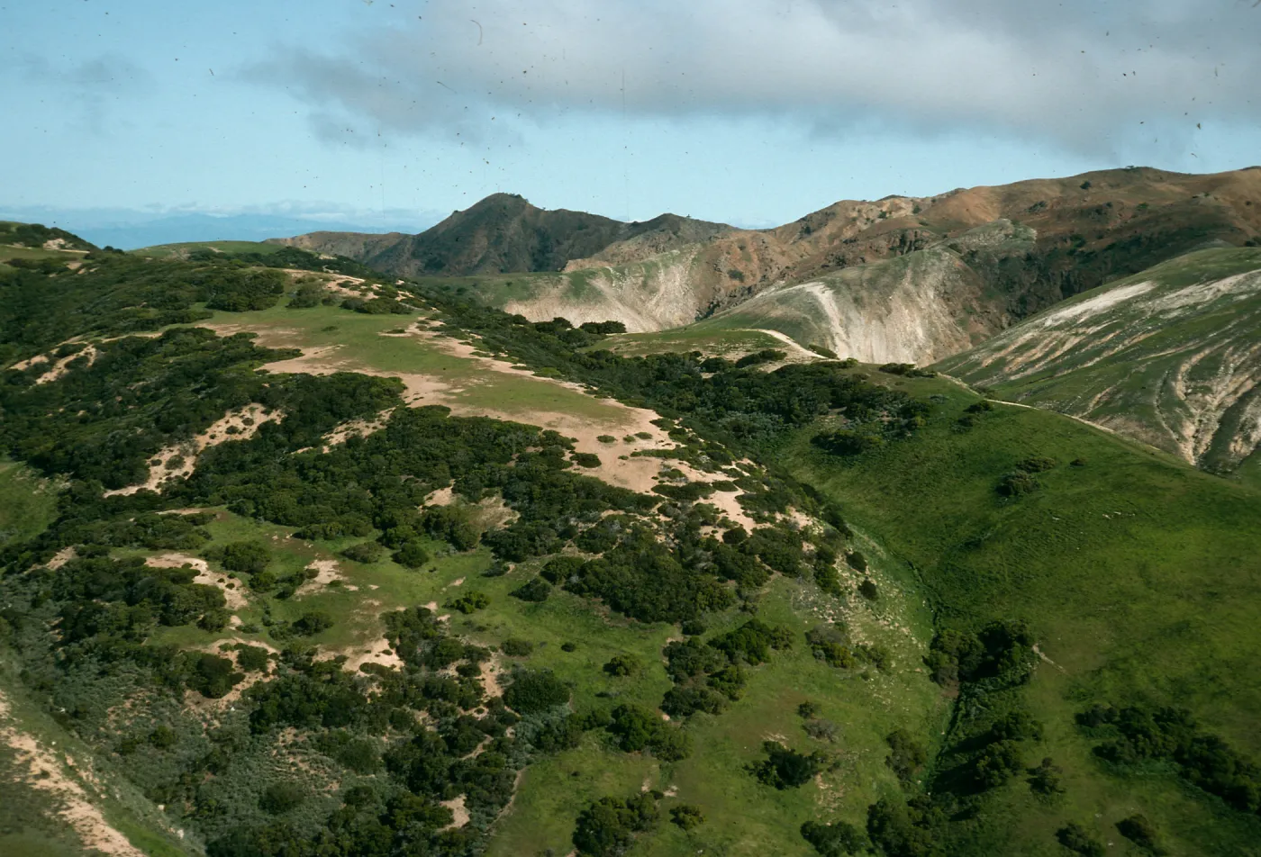 South side, just W of TNC/Gherini boundary, Santa Cruz Island