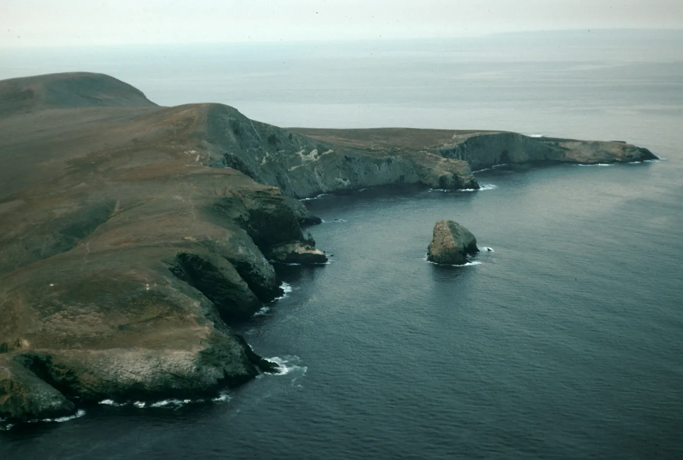 North end, Shag Rock, Santa Barbara Island