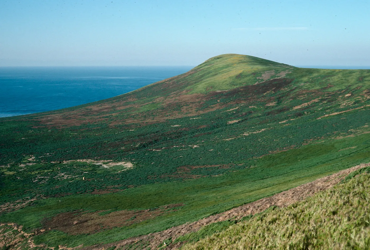 west side of island from Signal Peak, Santa Barbara Island