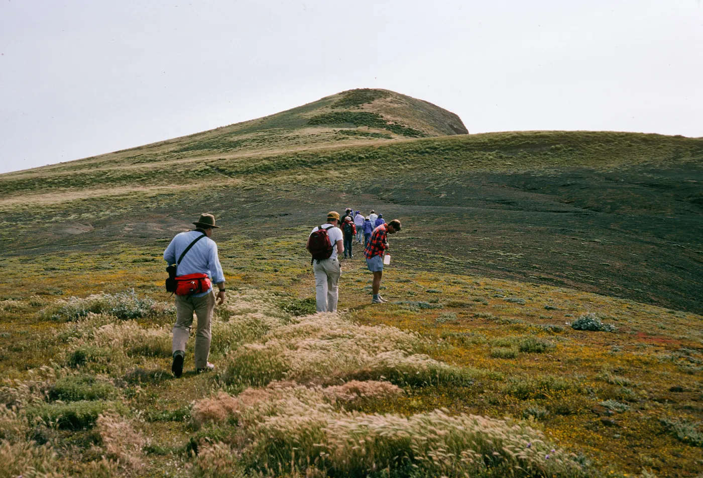 north end trail, Santa Barbara Island