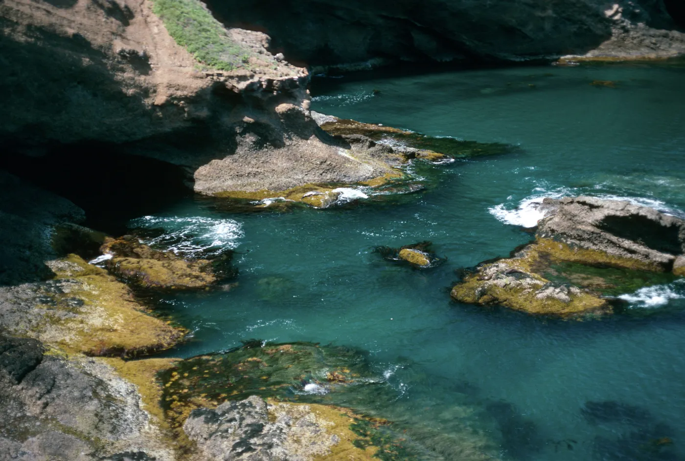 Landing cove, Santa Barbara Island
