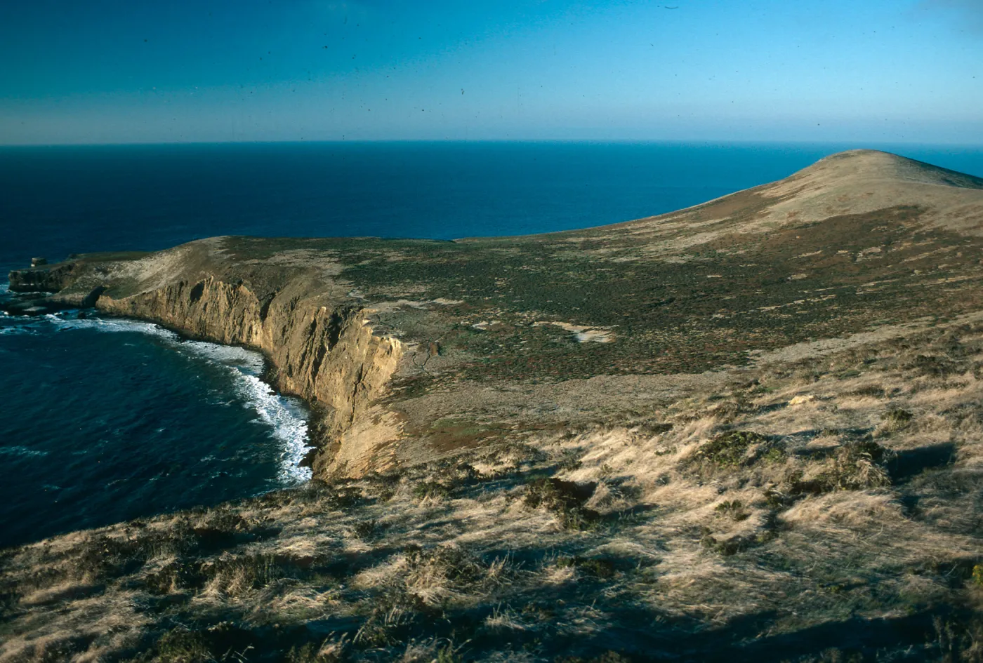 Northwest slopes from Signal Peak, Santa Barbara Island