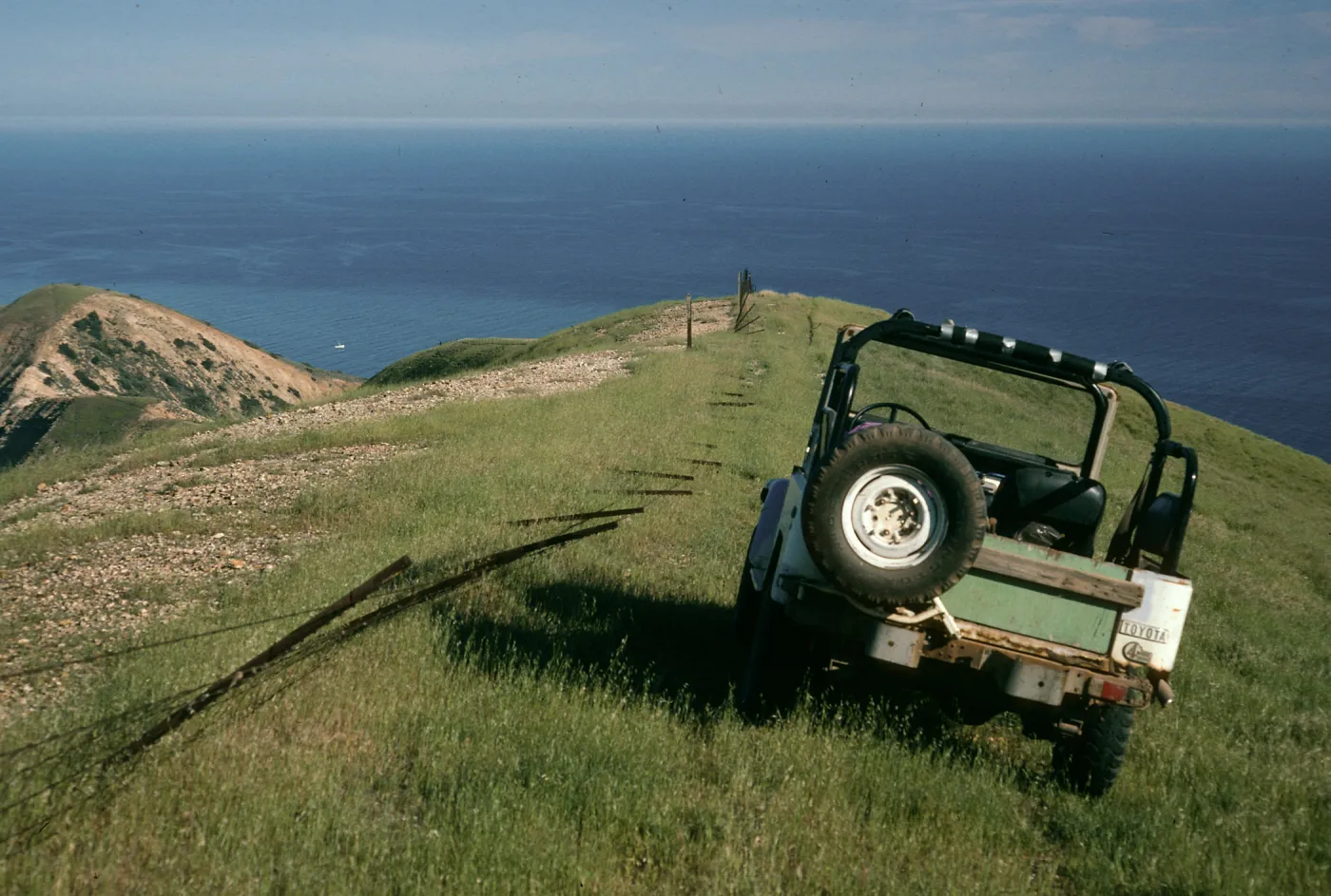 Downed sheep fence, TNC/ Gherini boundary