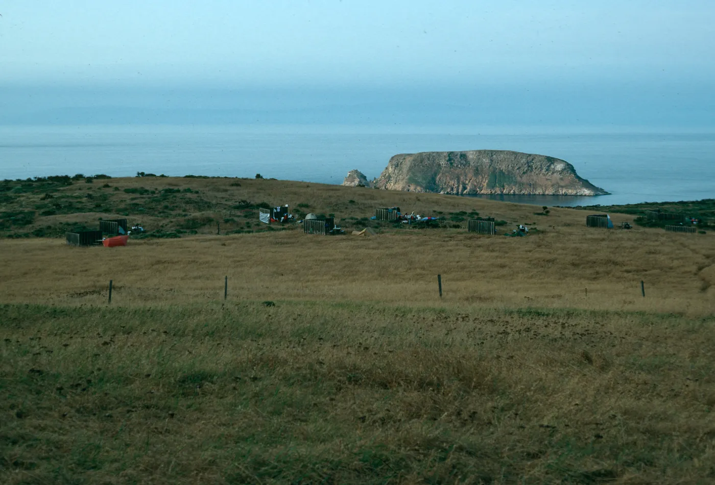 View of campground & Prince Island, San Miguel Island