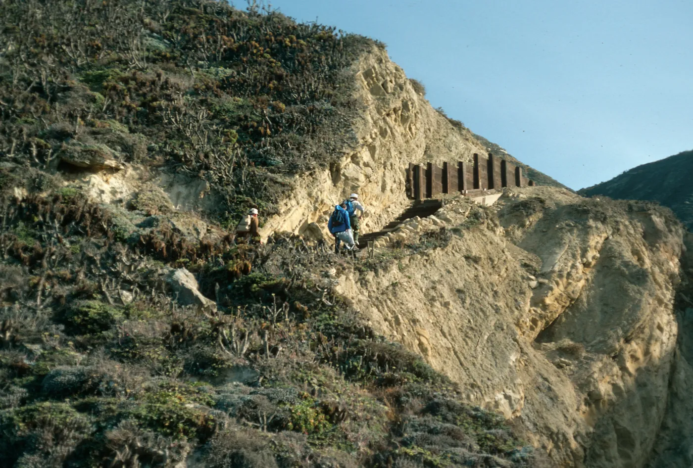 trail up Canada del Mar, San Miguel Island