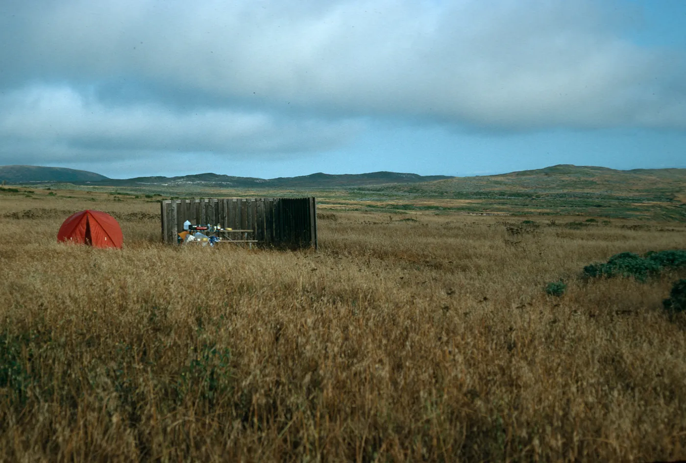 Campground, San Miguel Island