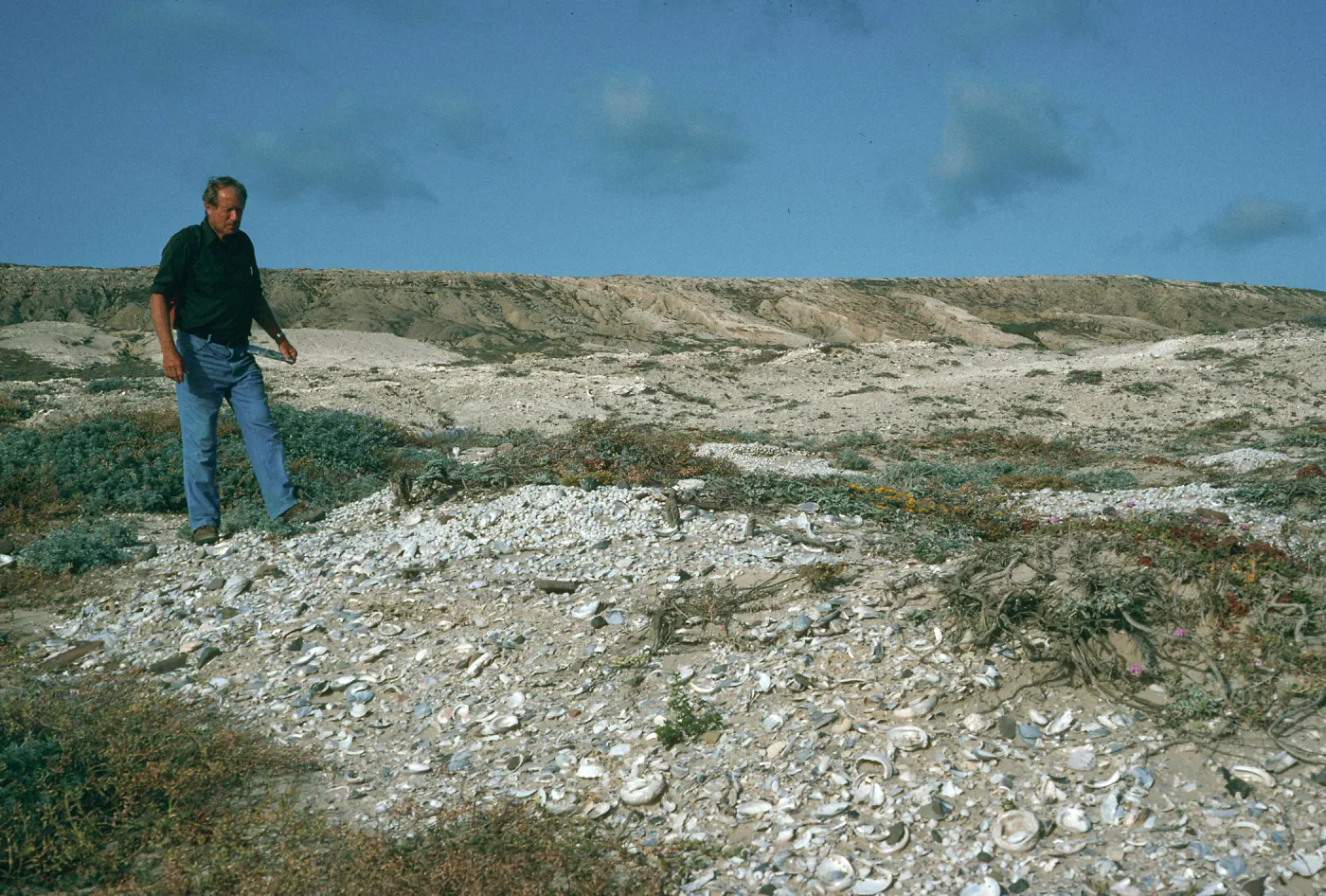 Jim Blakley, land snails, San Nicolas Island