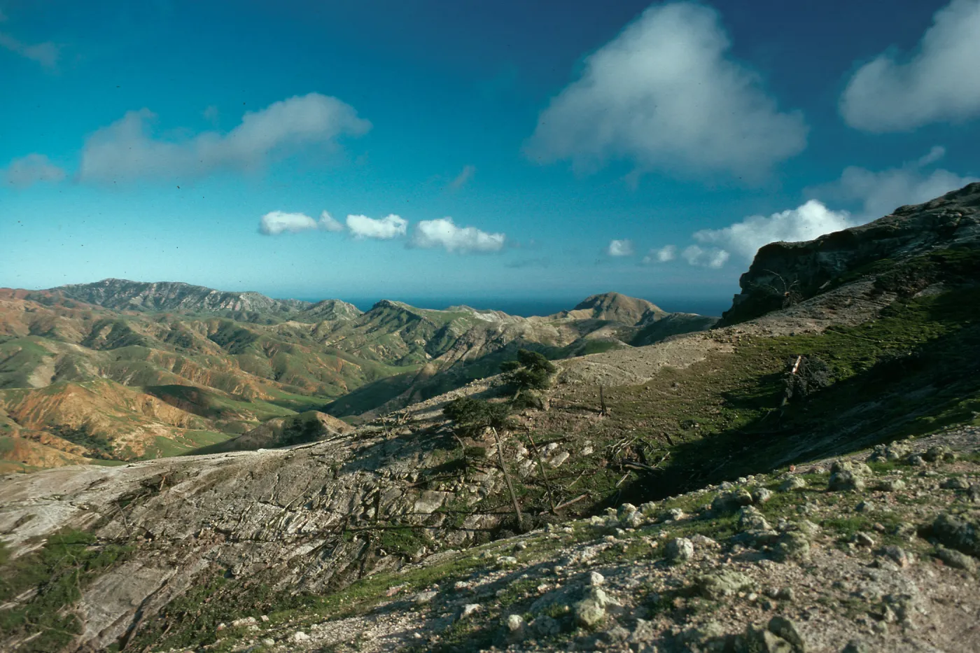 looking southeast from Ragged Mtn., Santa Cruz Island