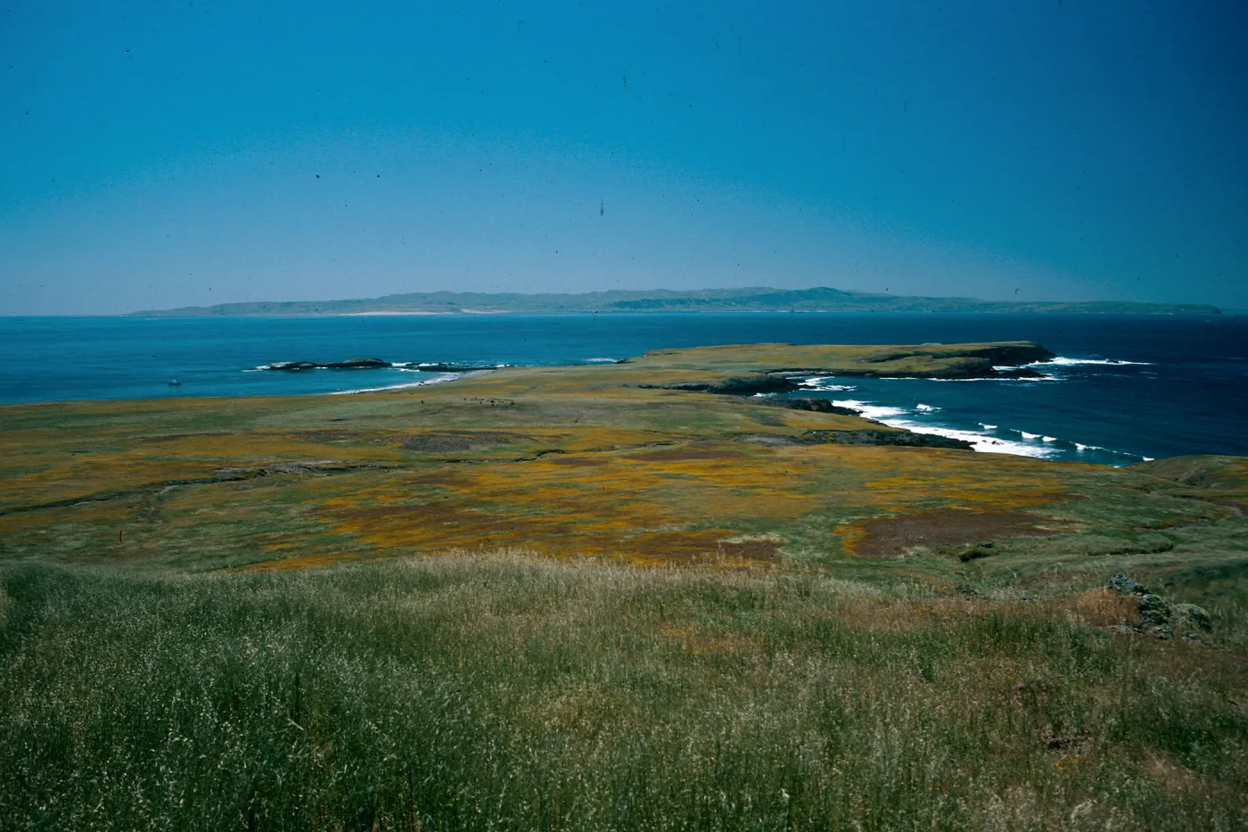 Fraser Point, Santa Rosa Island in distance.