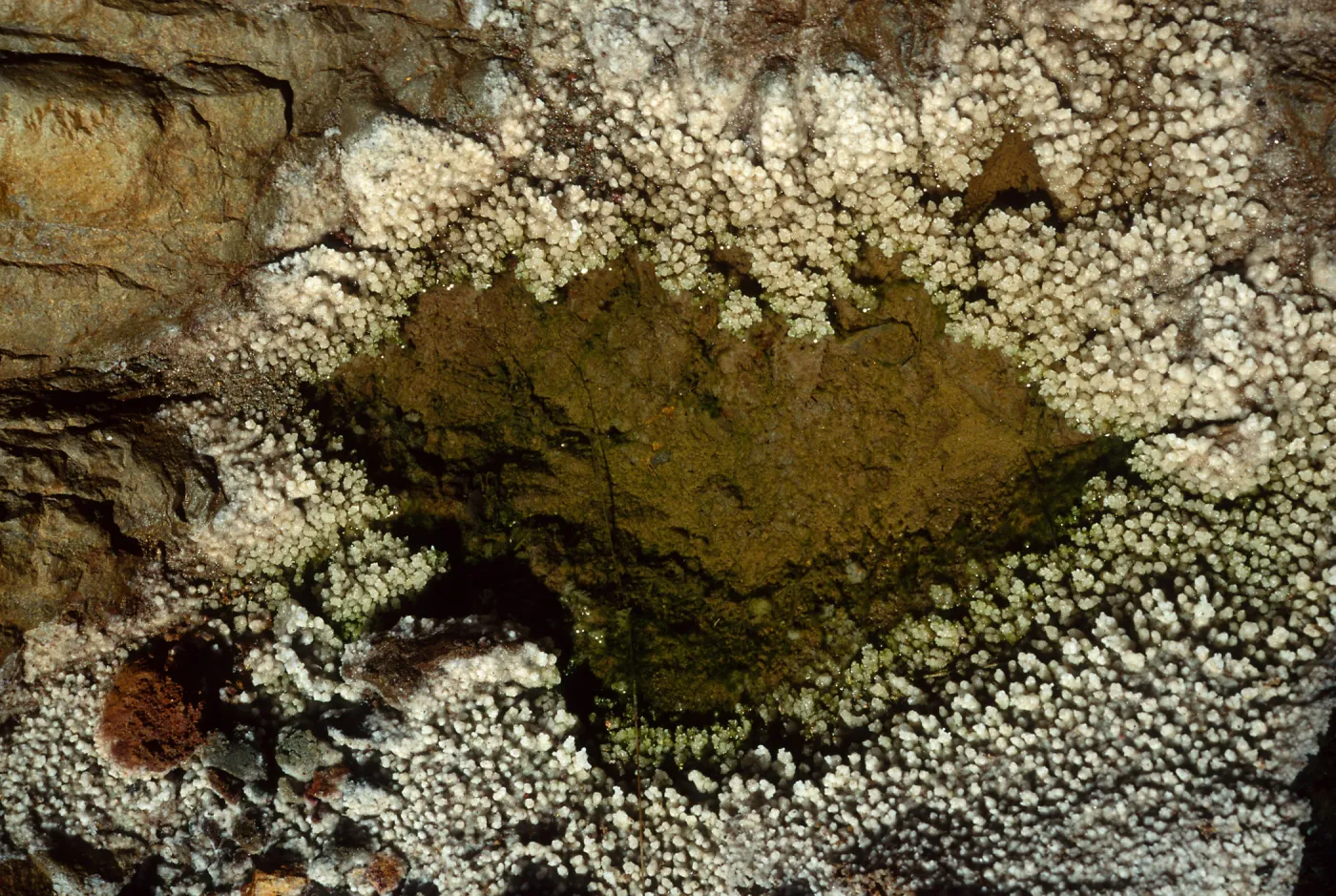 Cedros Island, crystals in creek, Canon de la Mina