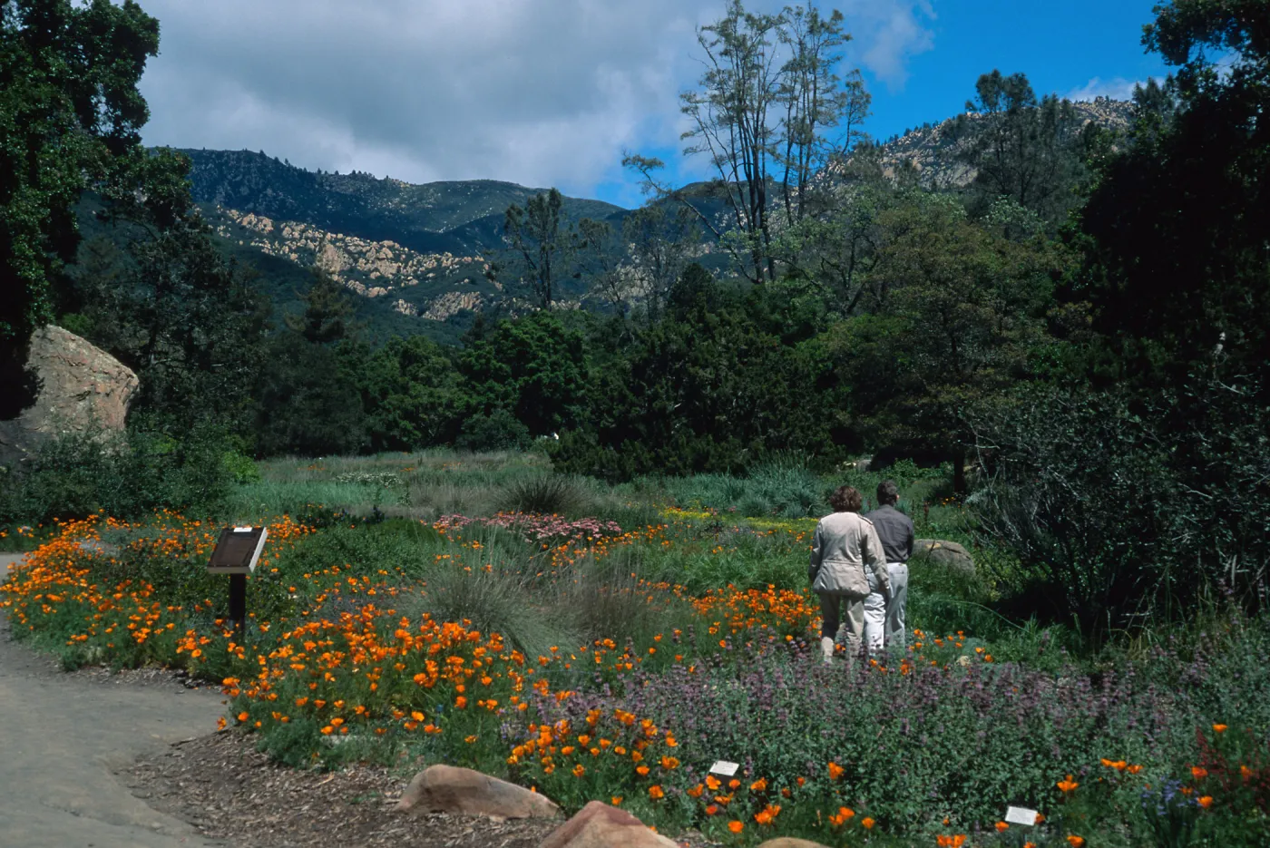 SBBG Meadow