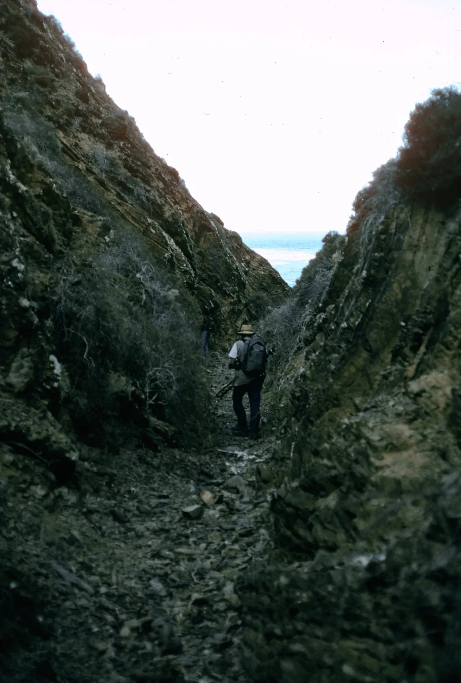 West San Benito Island, canyon, East side of island