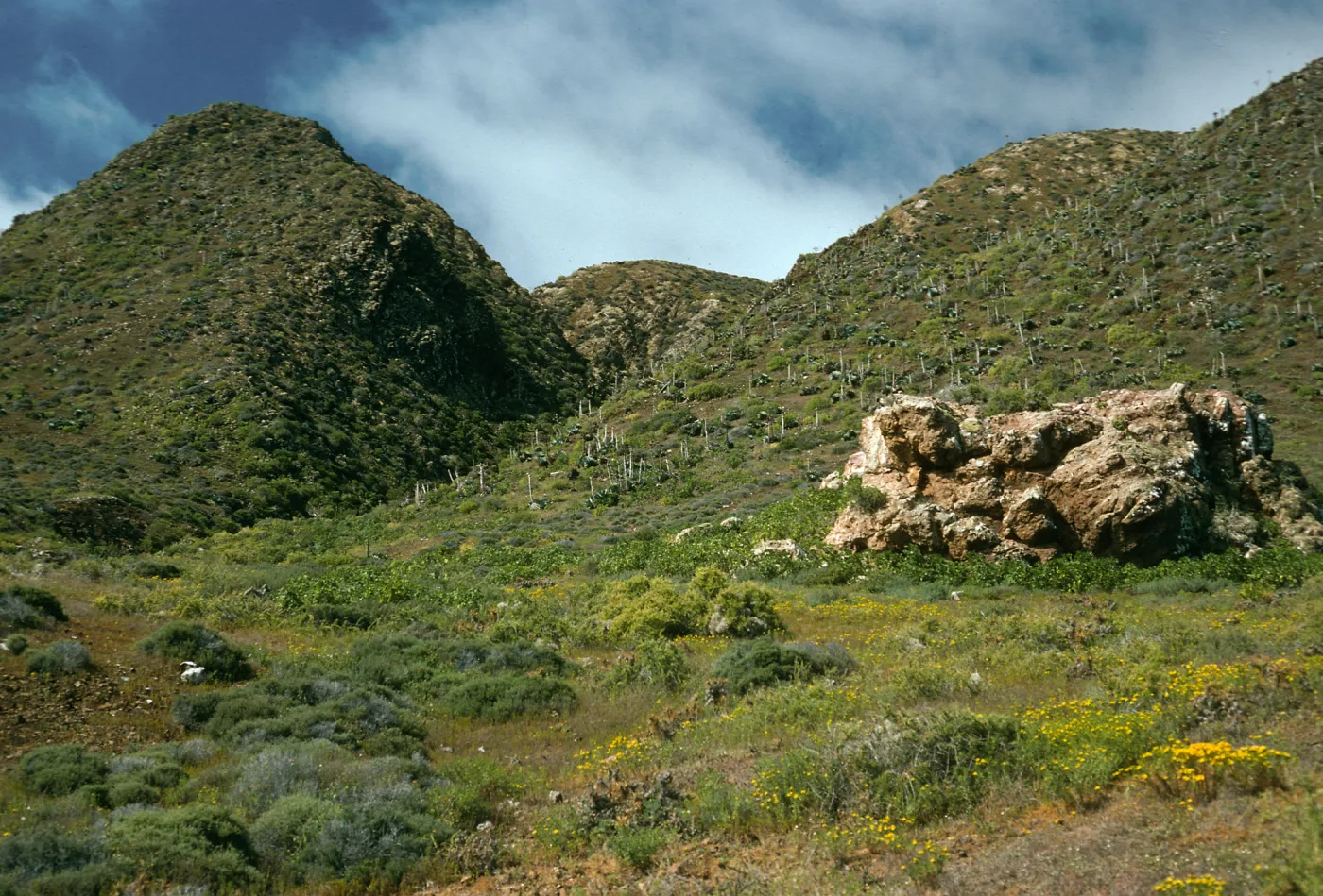 West San Benito Island, coastal hill, Northwest side