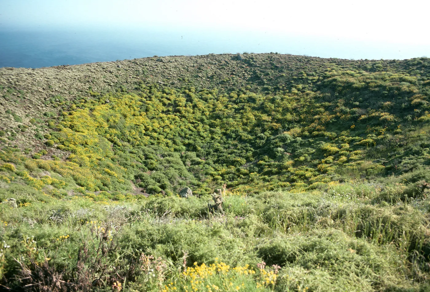 San Martin Island, crater at summit