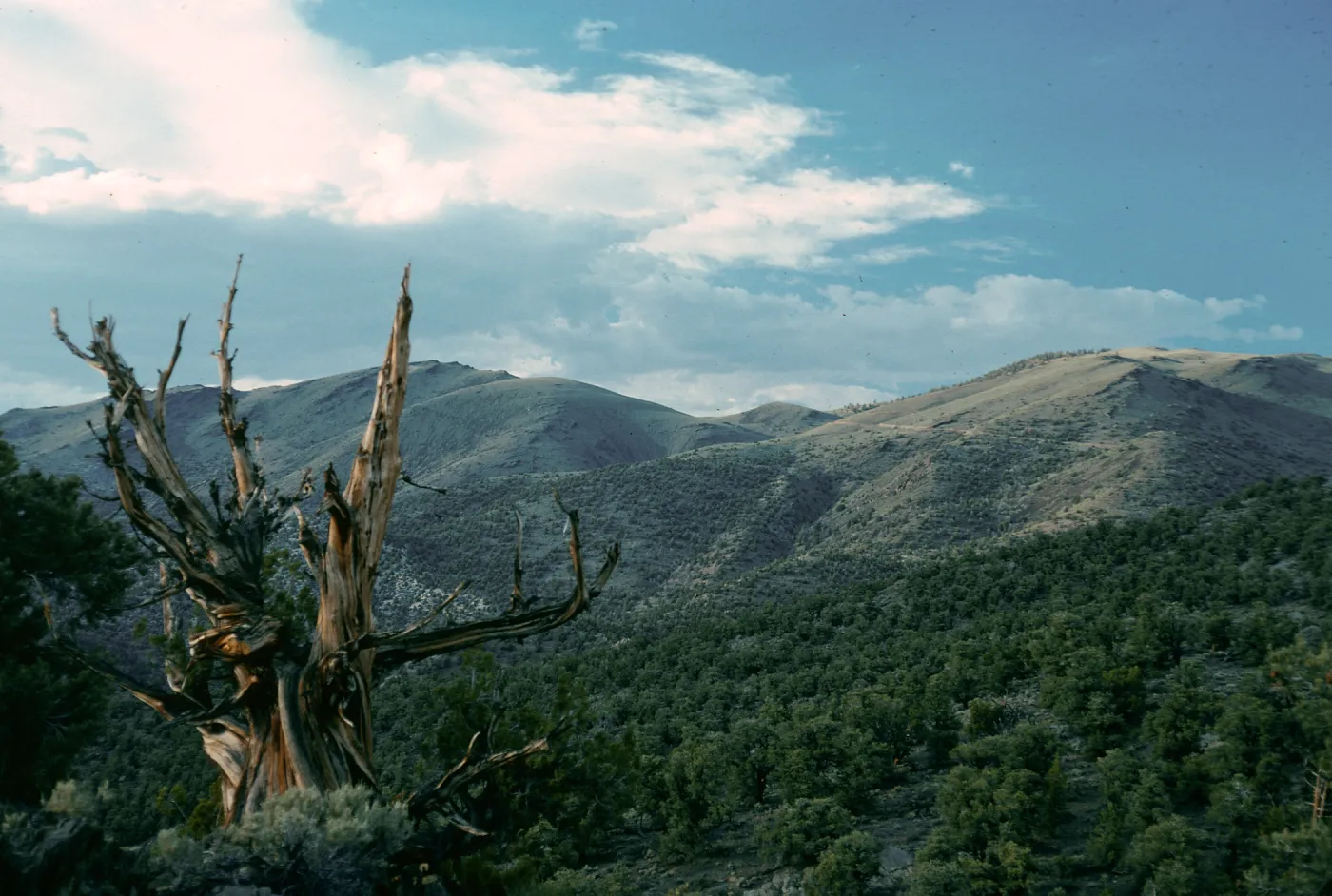 White Mountains, grand view