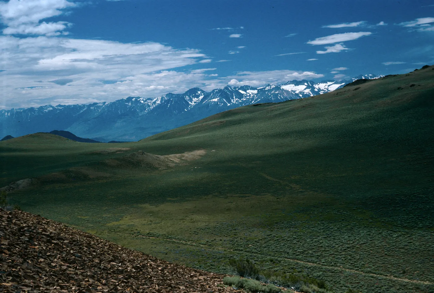 White Mountains, view of Sierra Nevada, North of Schulman Grove