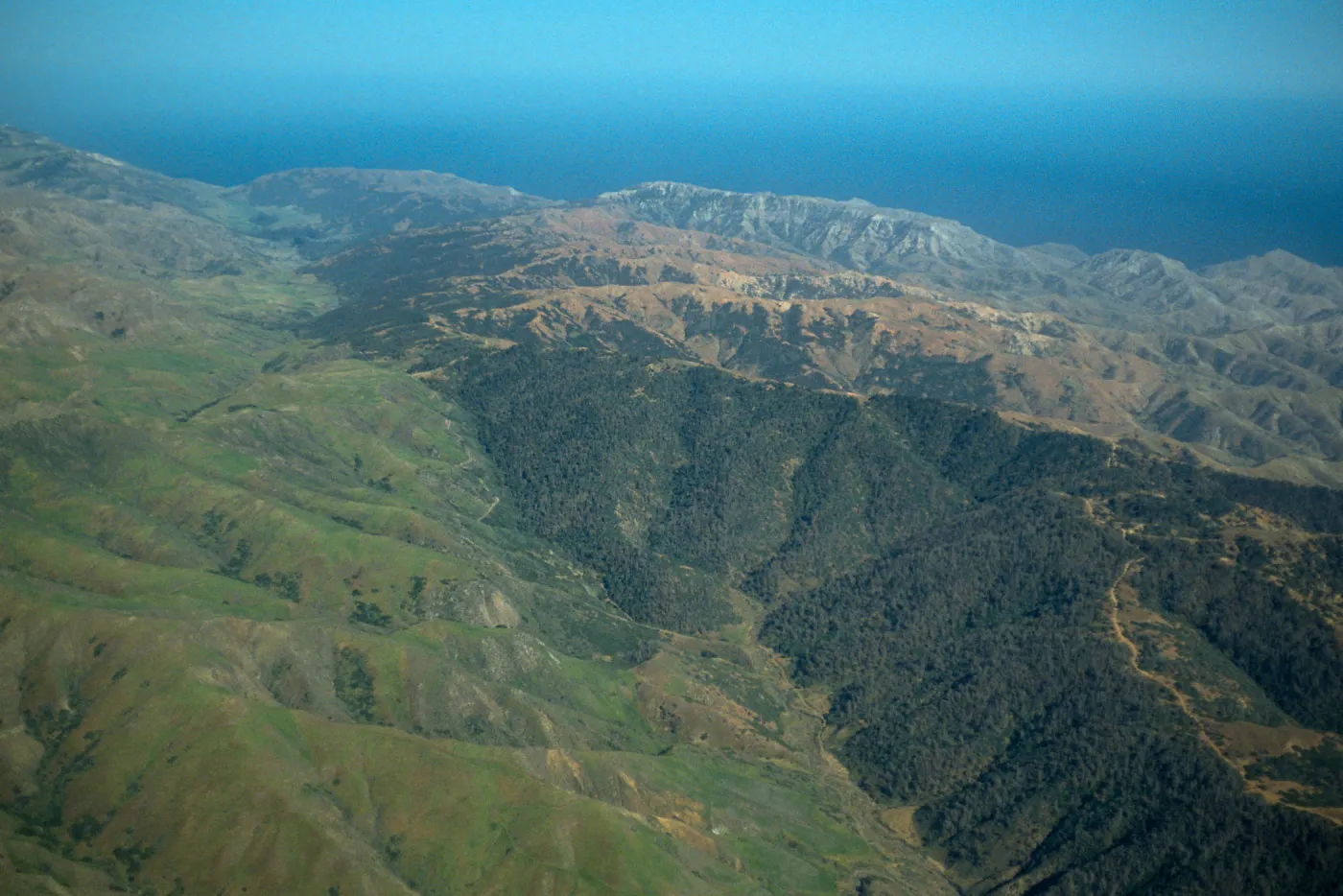Santa Cruz Island, Christy Pines, looking East