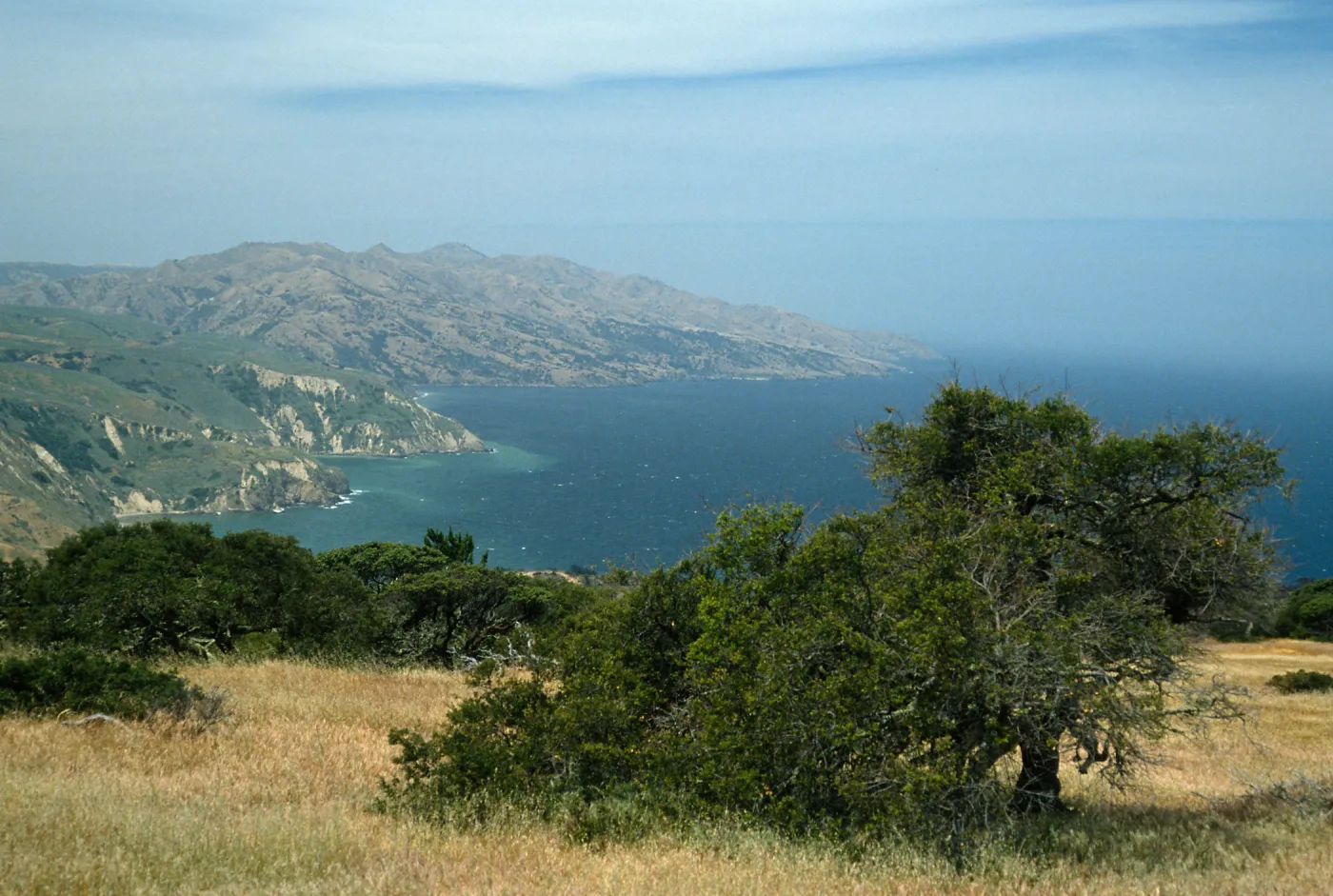 Santa Cruz Island, looking West from China Pines