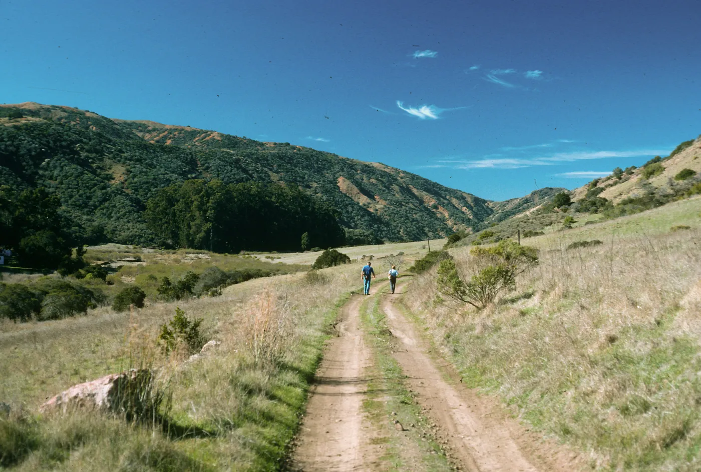 Santa Cruz Island, walking West toward University of California field station