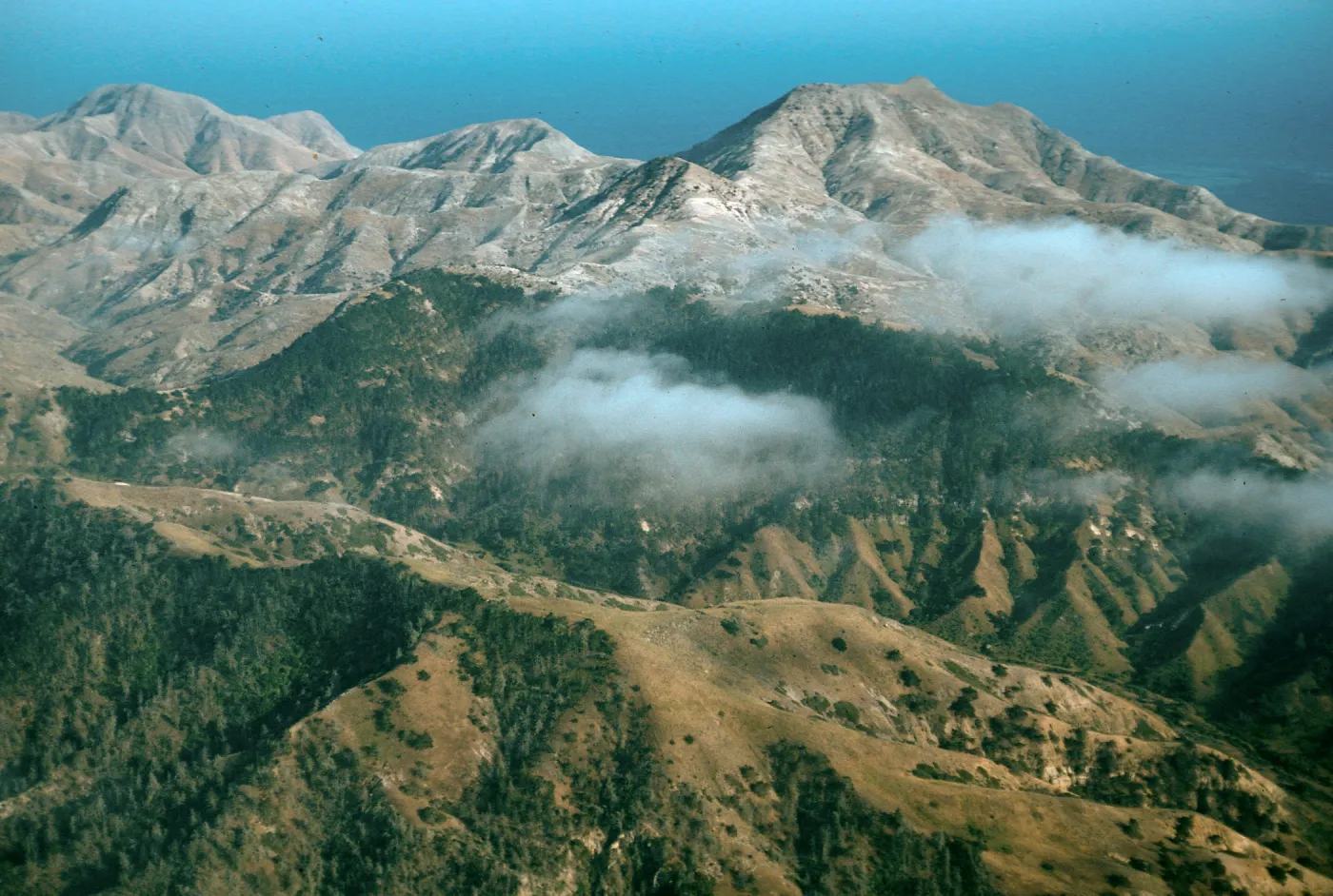 Santa Cruz Island, Christy Pines, Sierra Blanca ridge
