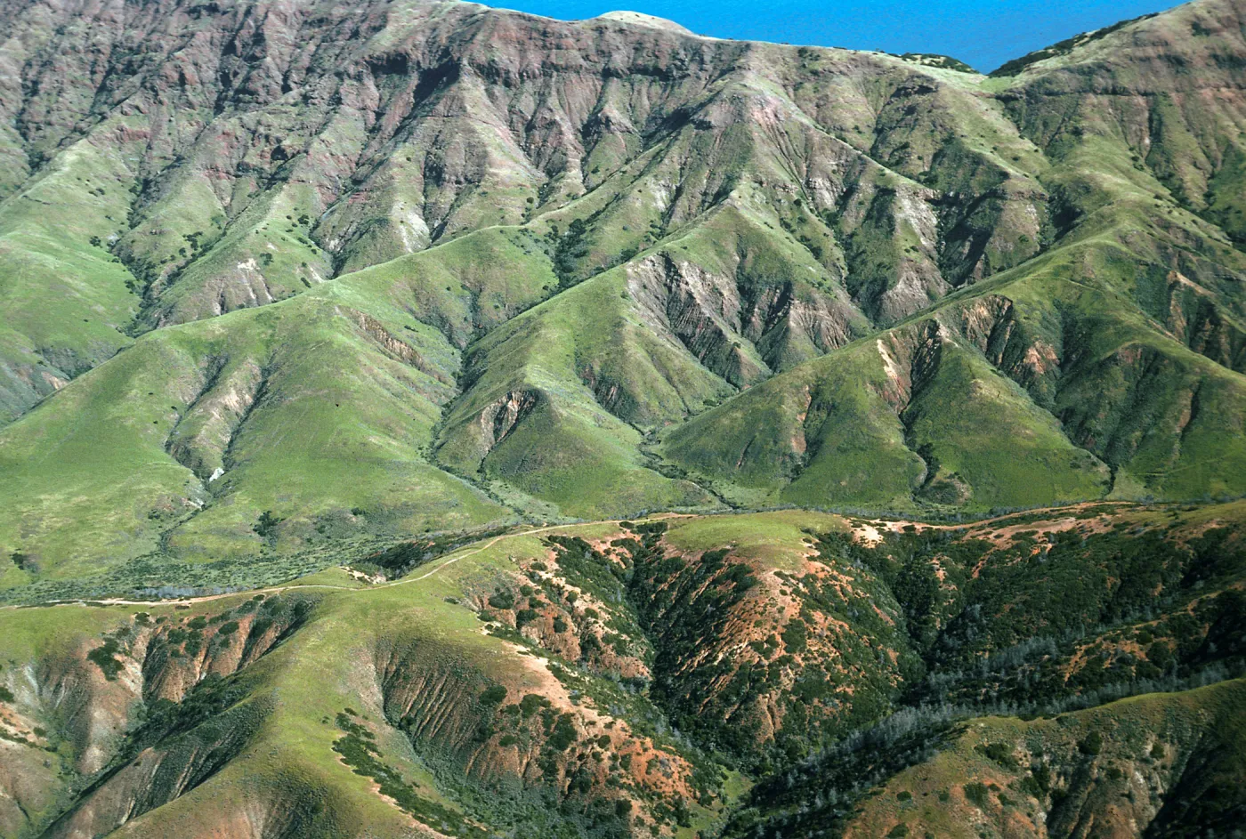 Christy Pines & upper Cañada Christy