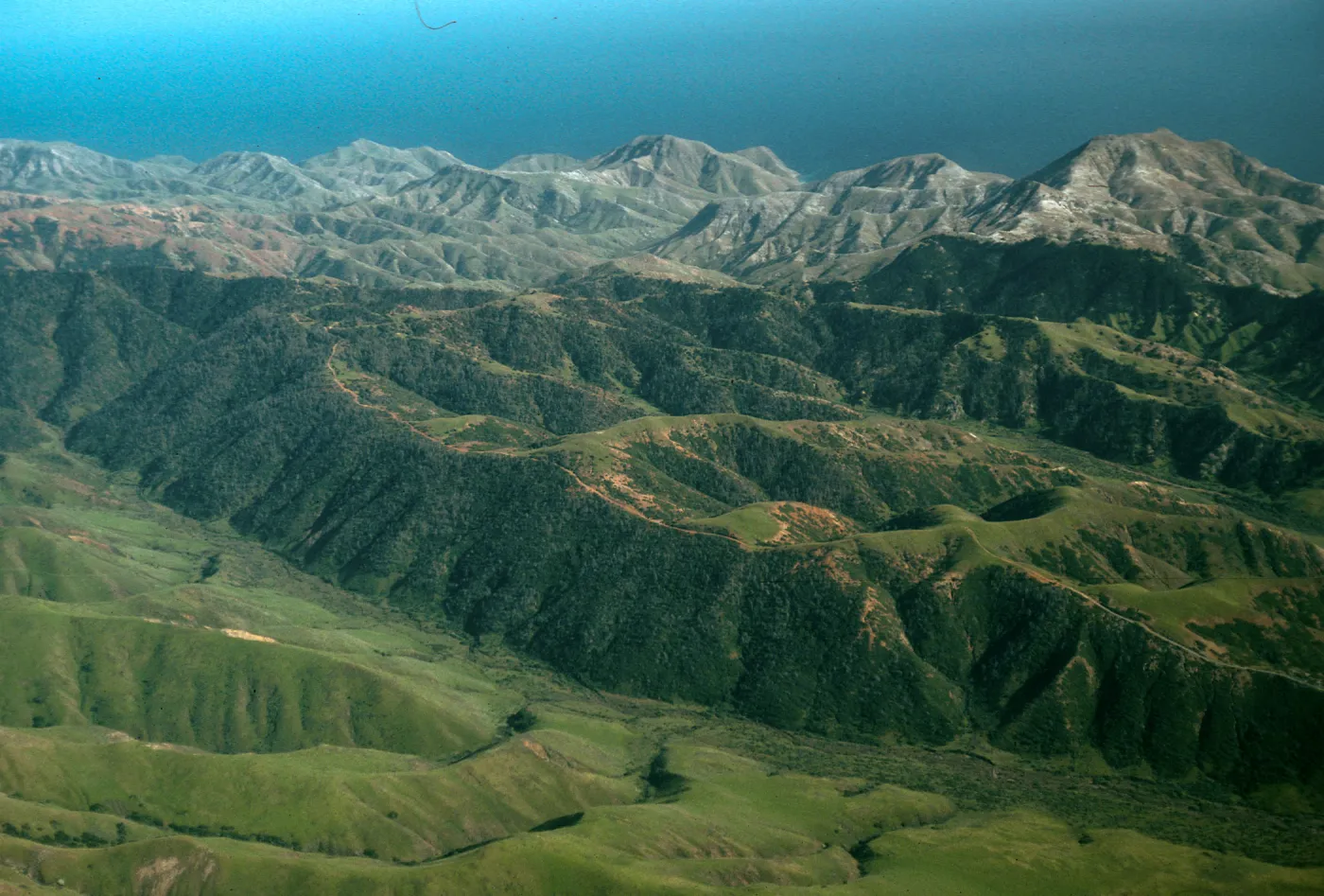 Santa Cruz Island, Christy Pines