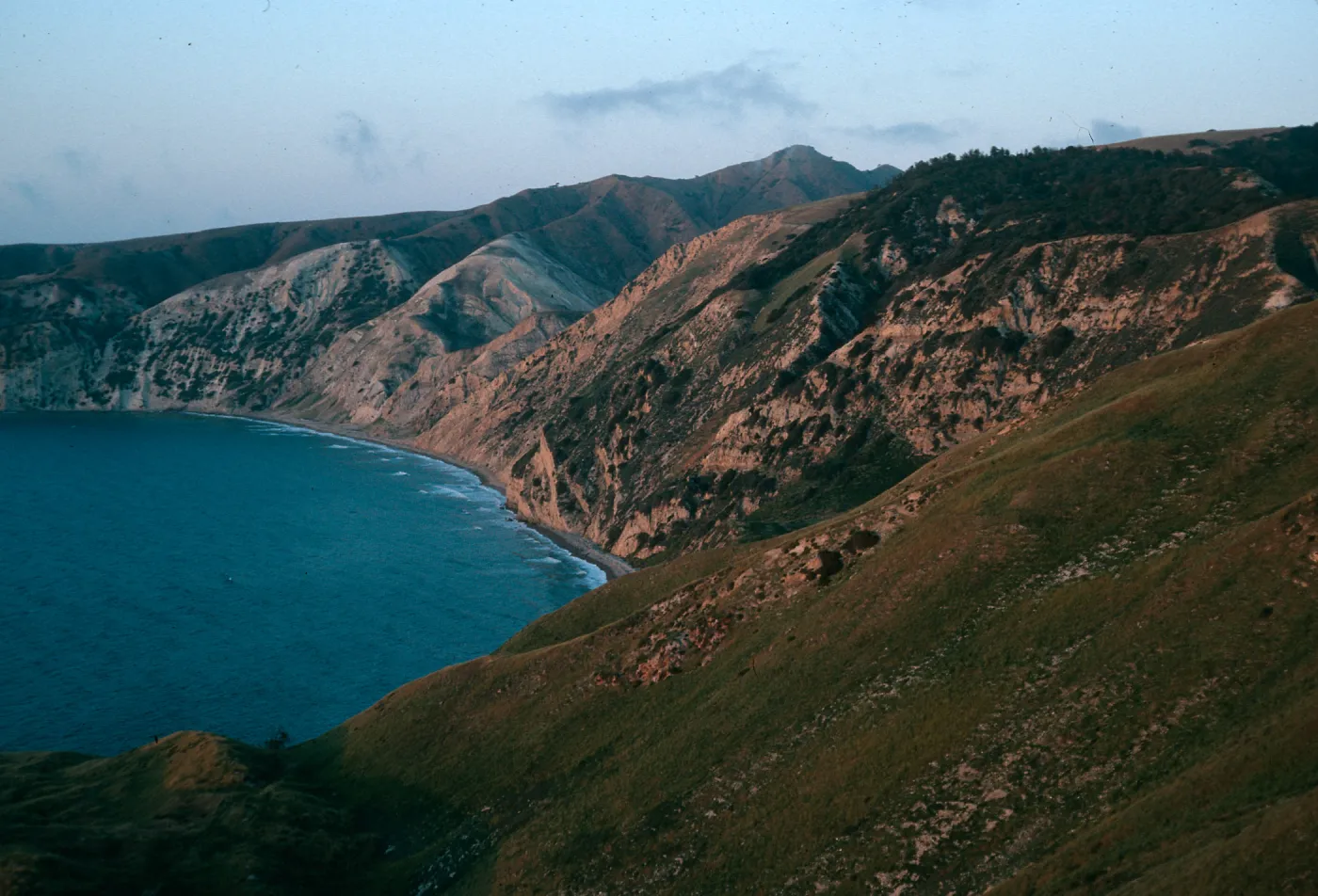 Santa Cruz Island, China Pines at dusk