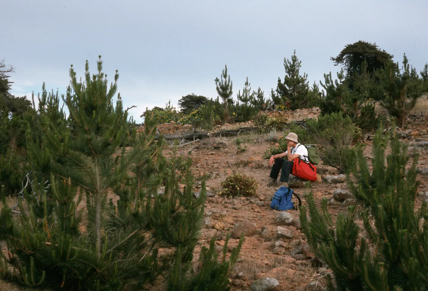 Santa Cruz Island, East of Twin Canyon