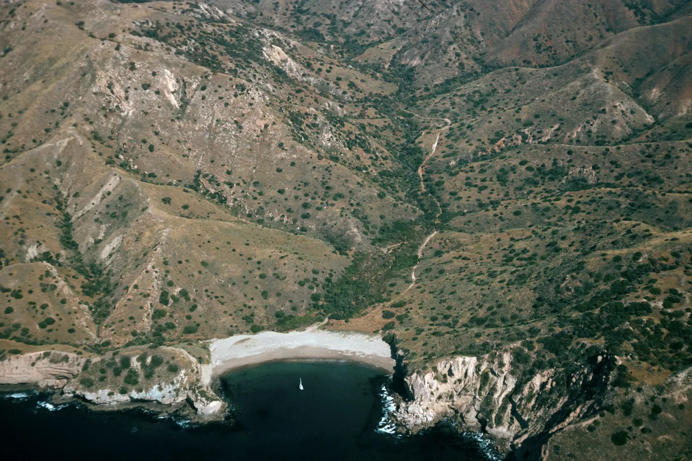 Santa Cruz Island, Coches Prietos