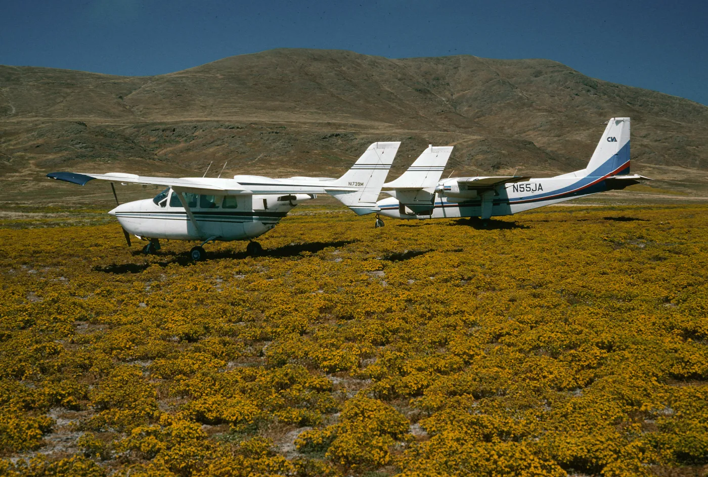 Santa Cruz Island, Islander Skymaster, Forneys Cove