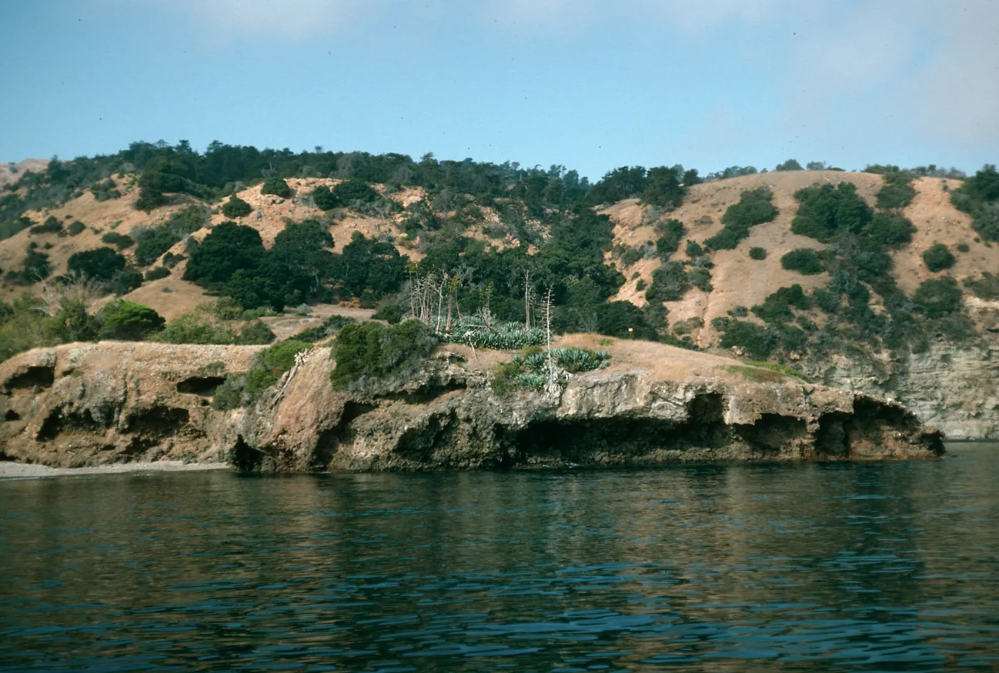 Santa Cruz Island, Pelican Bay