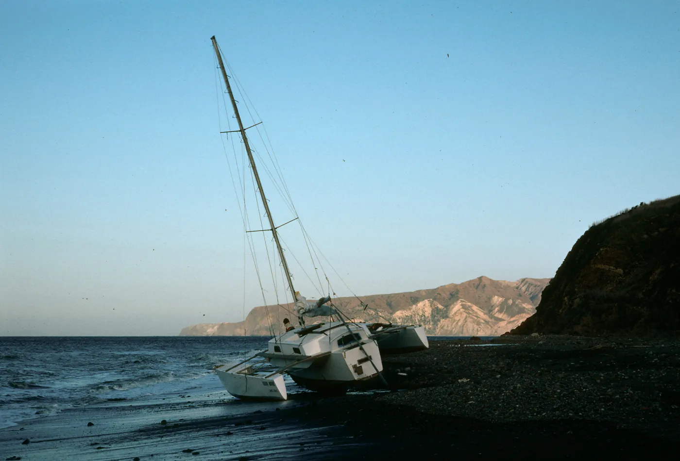 East end of Prisoners Harbor, Neon Rose" (Santa Cruz, California)"