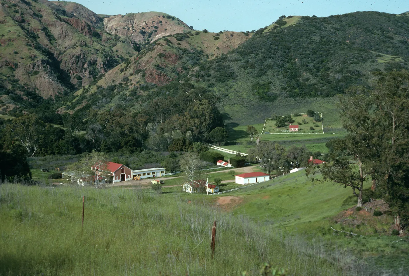 Santa Cruz Island, Stanton Ranch,from Camino de la Casa