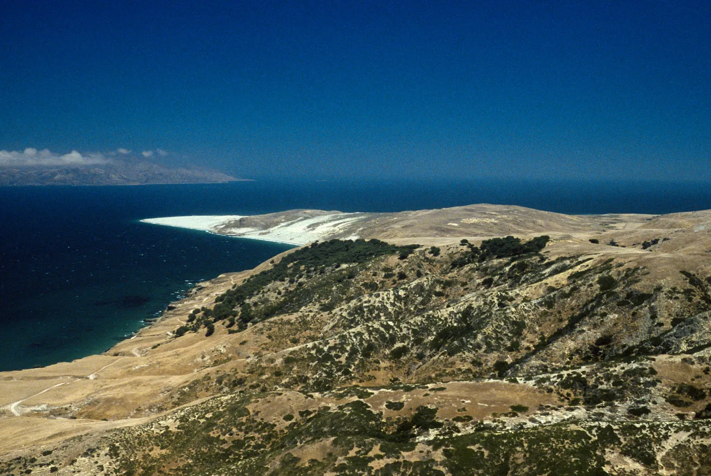 Santa Rosa Island, Skunk Point, Torrey Pines