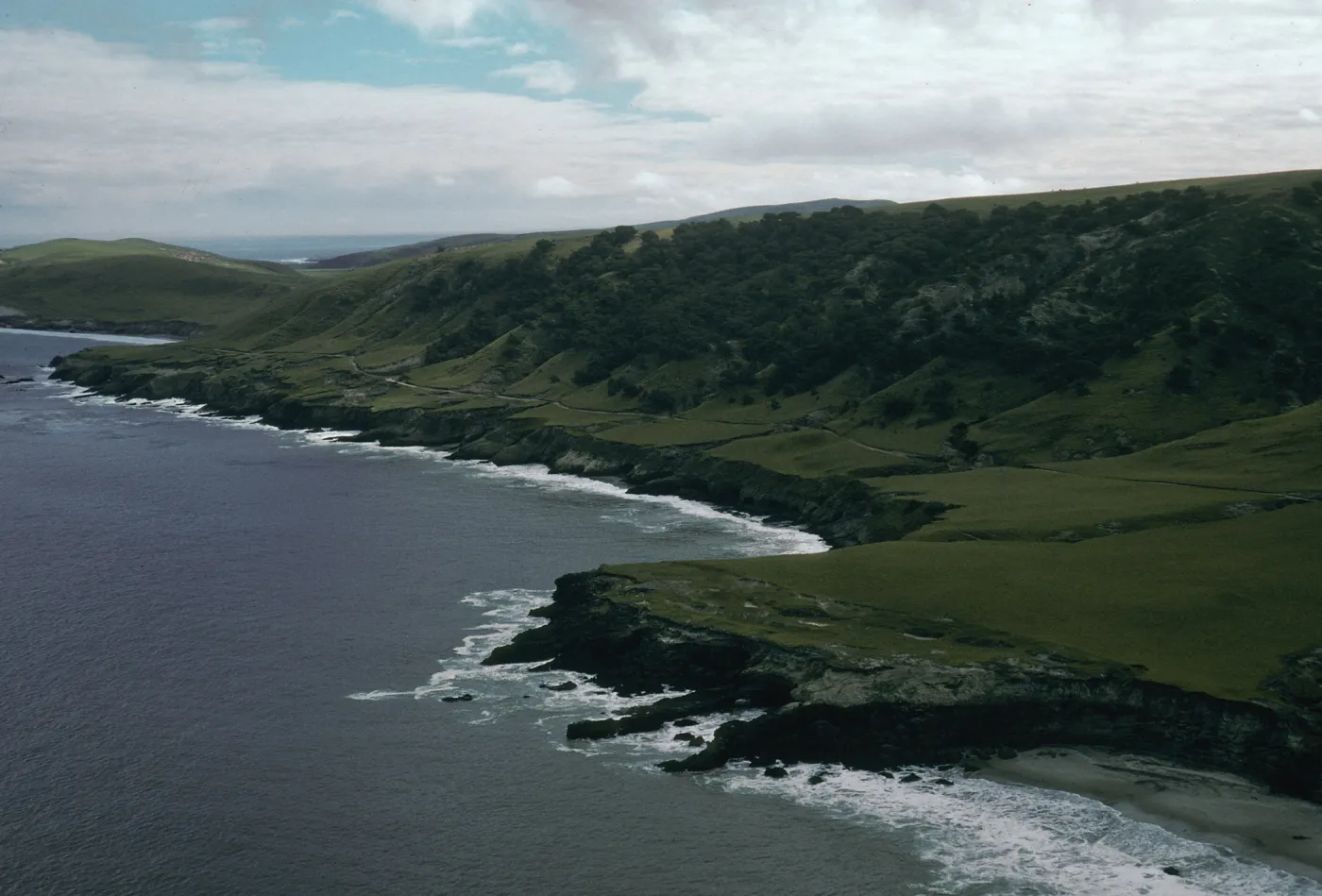 Santa Rosa Island, Beechers Bay, Torrey Pines