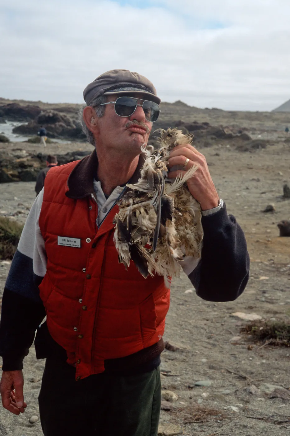 West San Benito Island, Bill Samaras w/Osprey