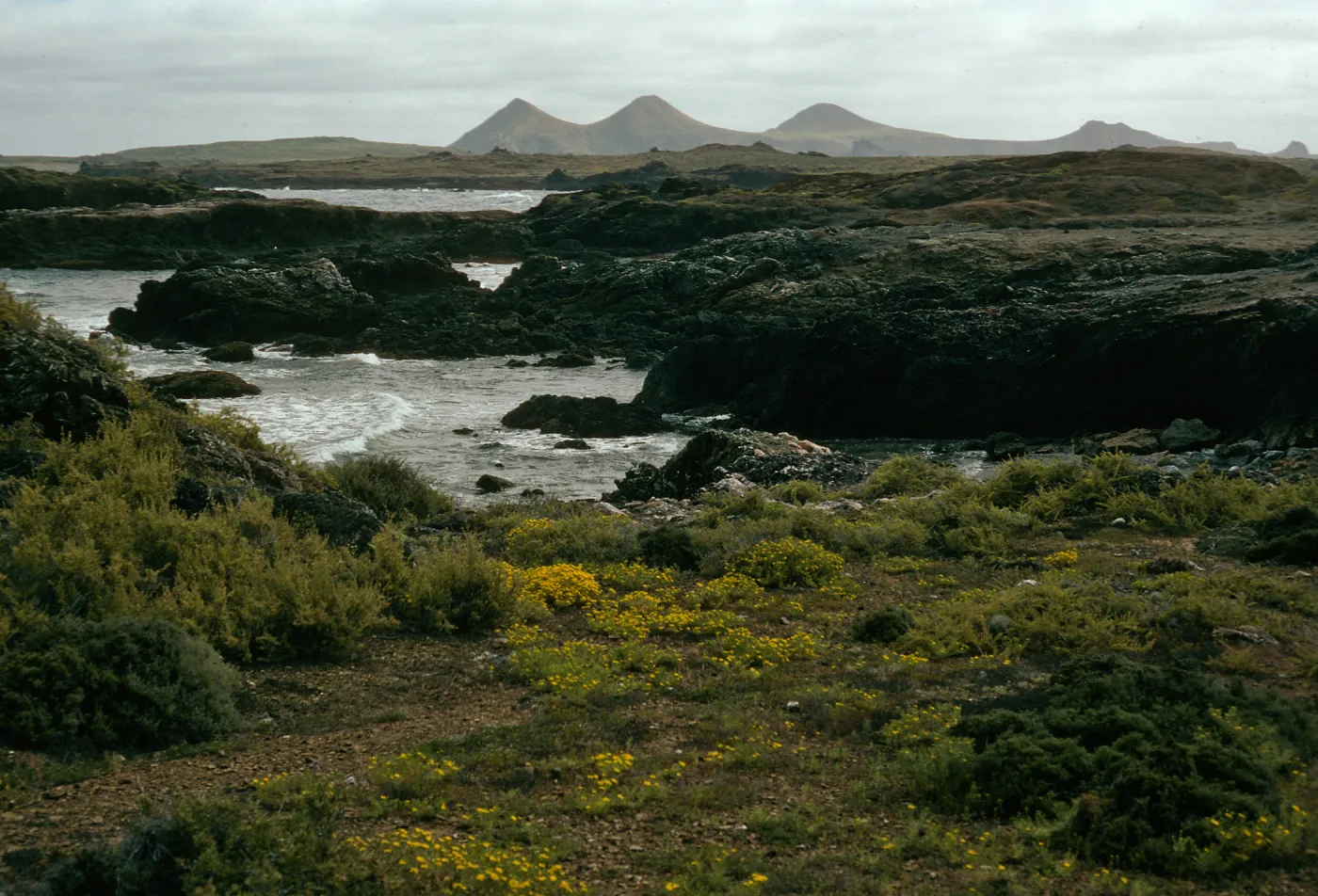 West San Benito Island, view of East Island, Northwest coast