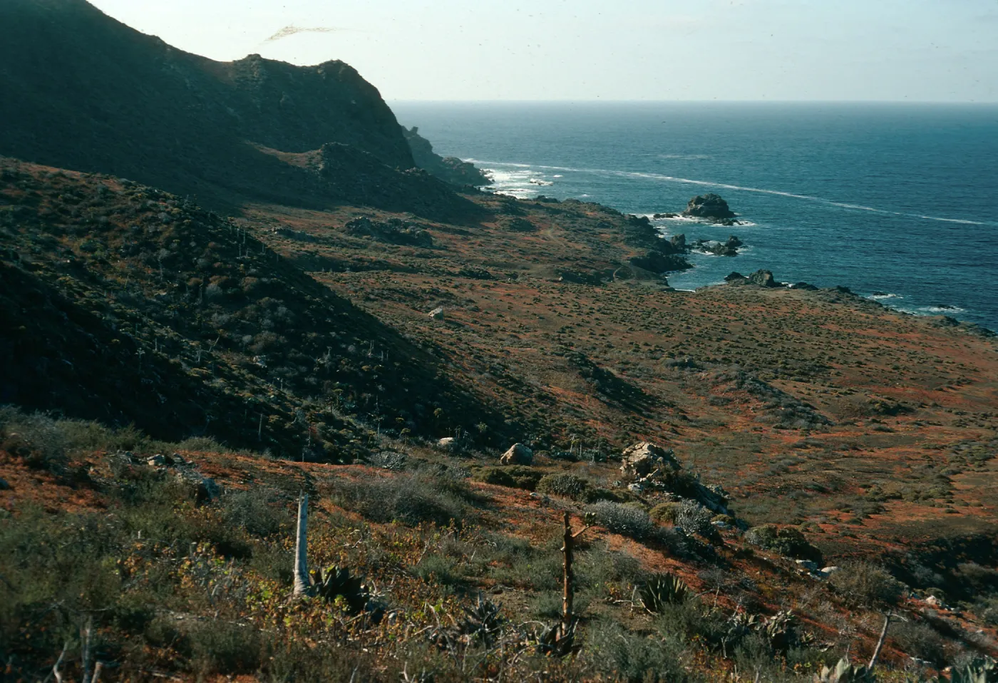 Northwest side of West San Benito Island