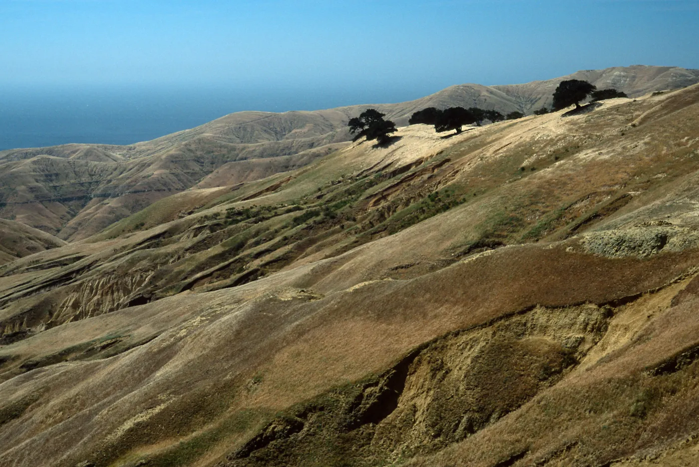central Santa Rosa Island, erosion, island Oaks