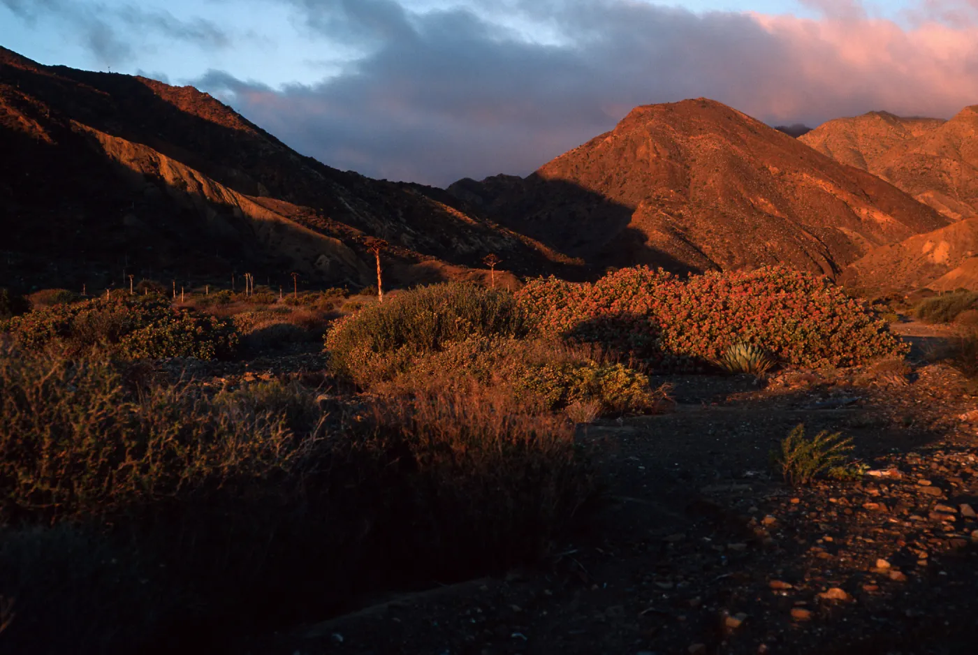 Cedros Island, dawn at Gran Cañon