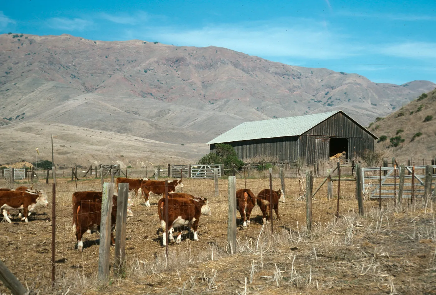 Santa Cruz Island, Christy barn