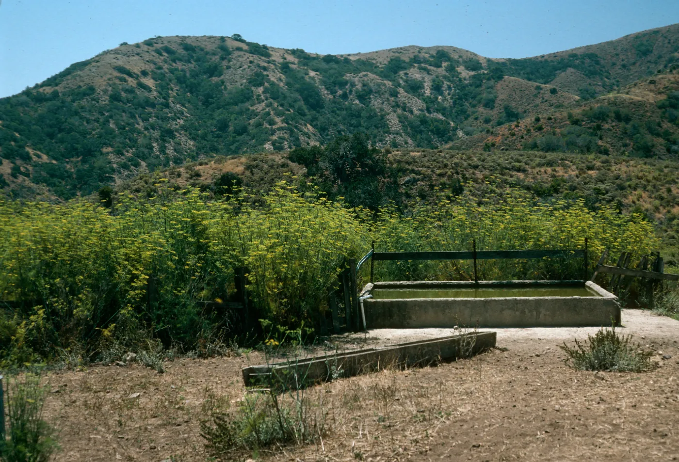 Santa Cruz Island, Rancho Del Sur