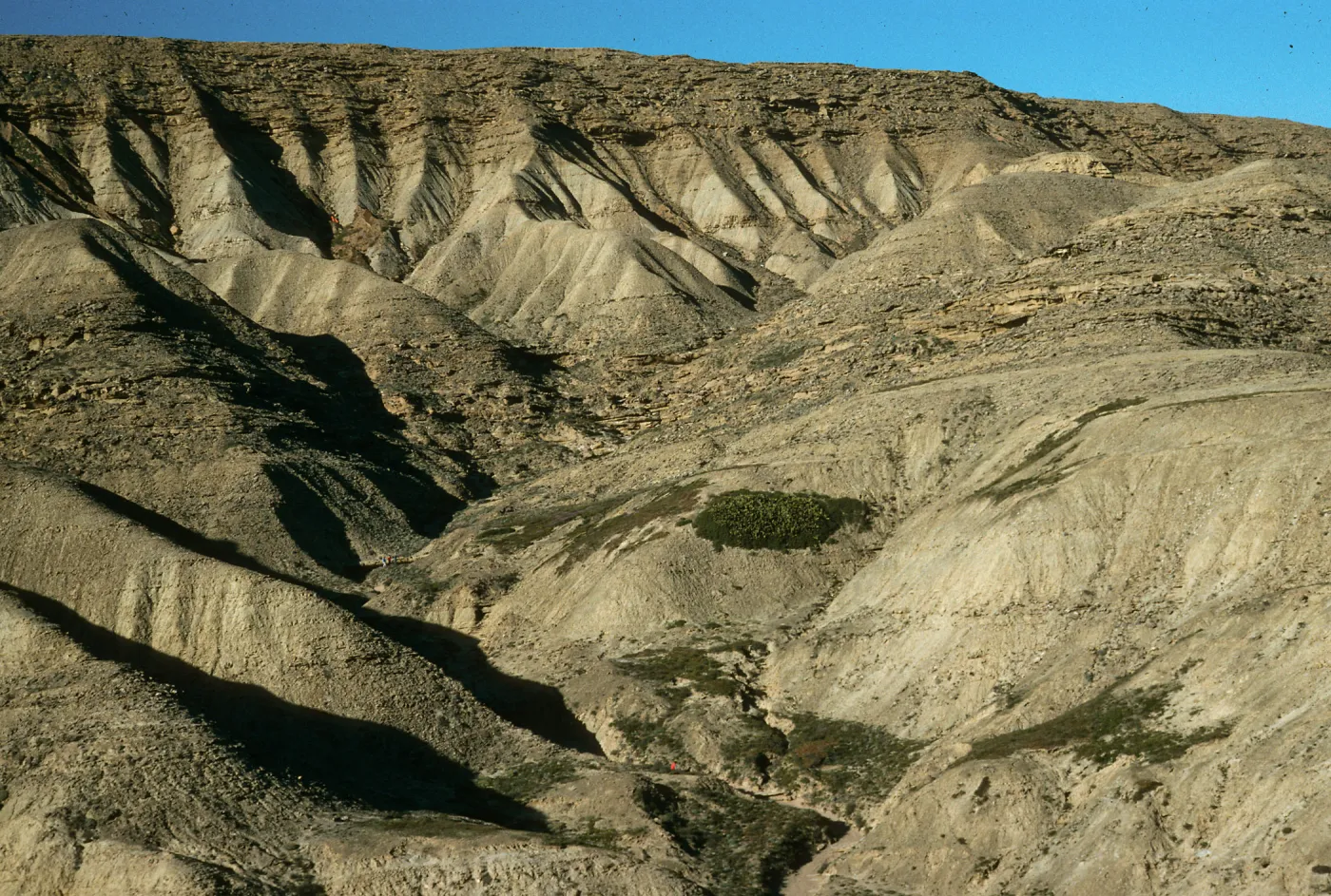 San Nicolas Island, South escarpment, West of Daytona Beach, Eschscholzia ramosa site in canyon fork