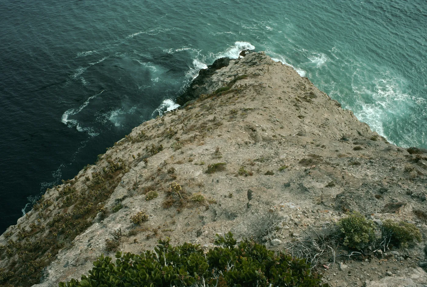 Santa Cruz Island, Coral Point, East of Laguna Canyon mouth